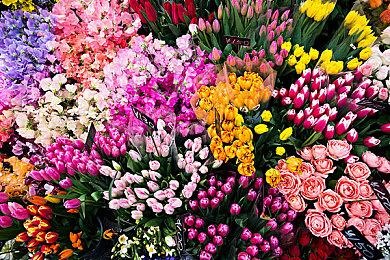 《大富翁11》首发12张地图 联机模式寻找你的最佳“好”友